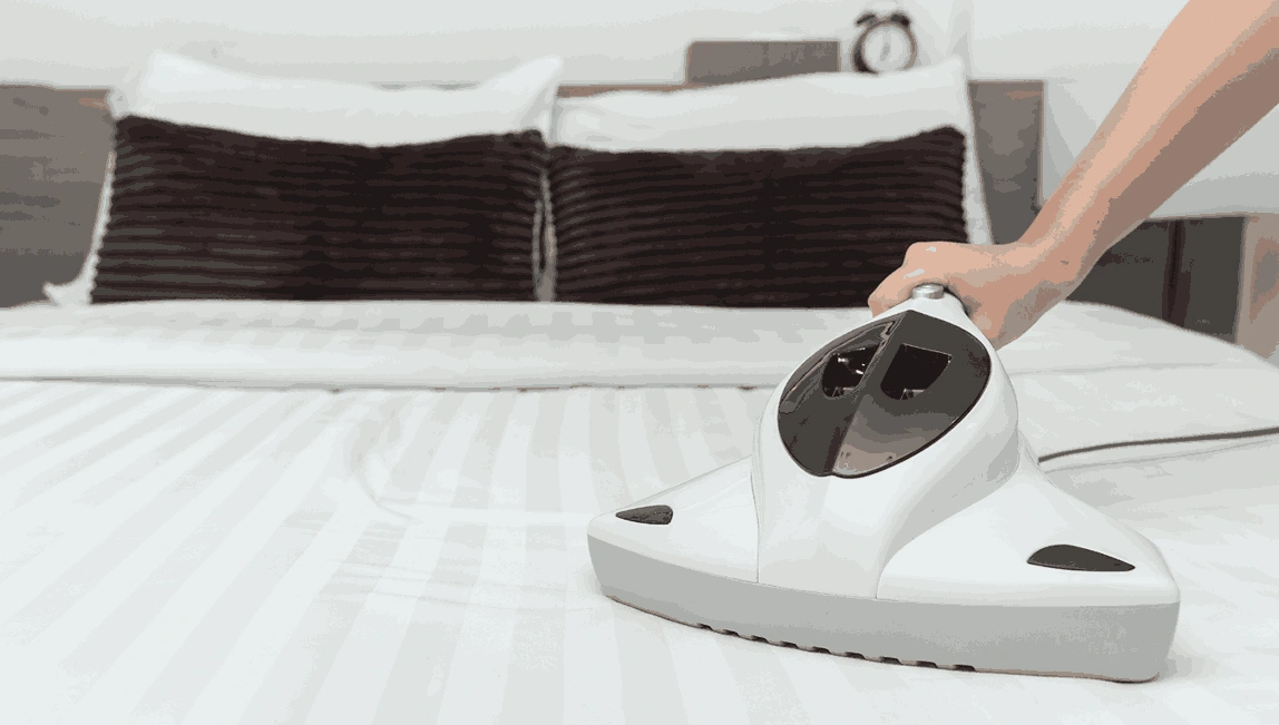 Professional Mattress Cleaning Princes Hill